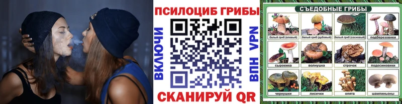 Галлюциногенные грибы Psilocybe Краснокаменск