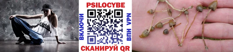 Псилоцибиновые грибы GOLDEN TEACHER  Краснокаменск 